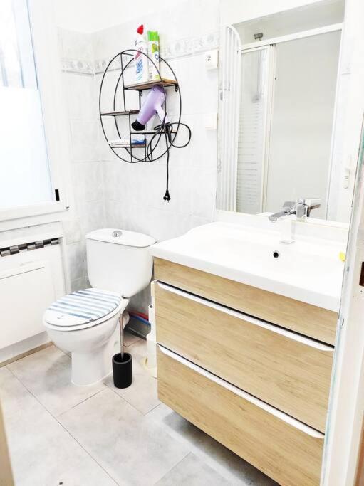 טולוז T2 Ds Villa-Terrasse-Clim-Pkg-Meet- Zenith-Odyssud מראה חיצוני תמונה